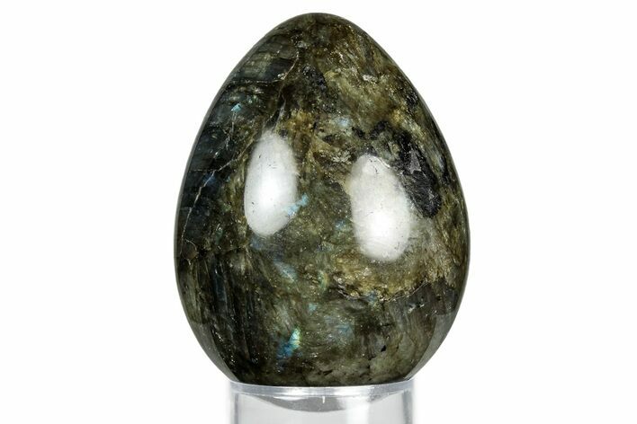 Flashy, Polished Labradorite Egg - Madagascar #344326